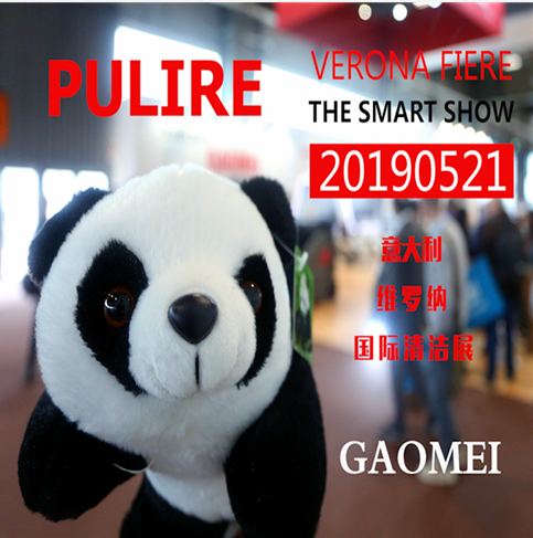 合肥公海彩船66002019意大利維羅納國際清潔展