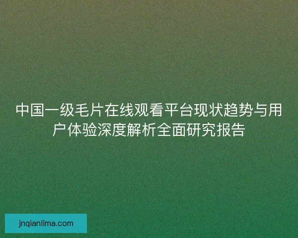 中国一级毛片在线观看平台现状趋势与用户体验深度解析全面研究报告